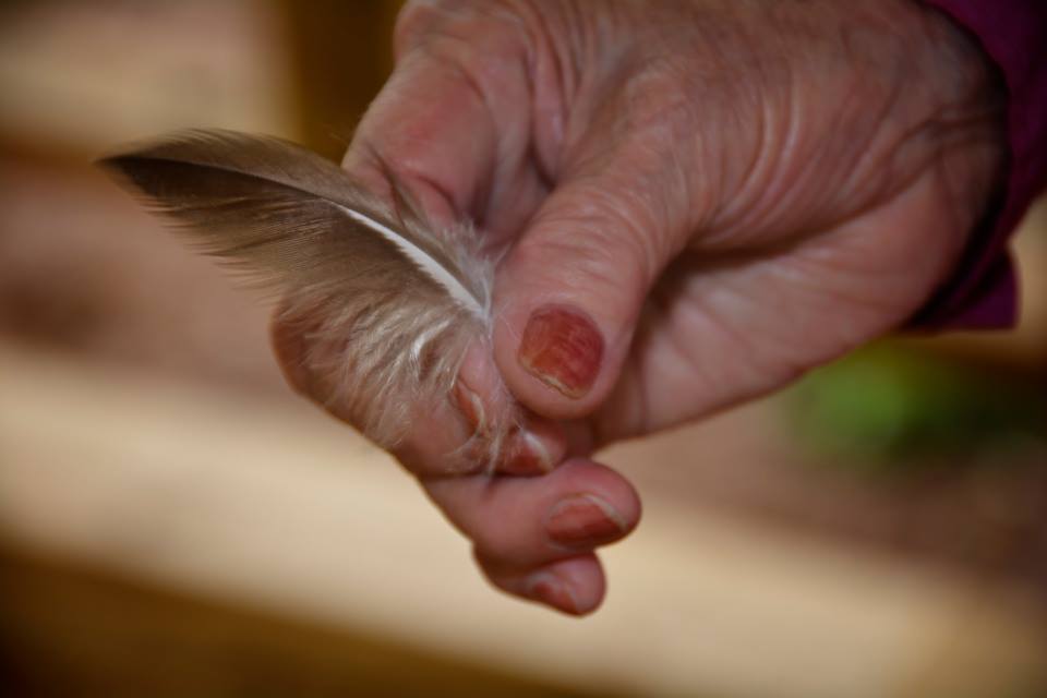 gift of an eagle feather